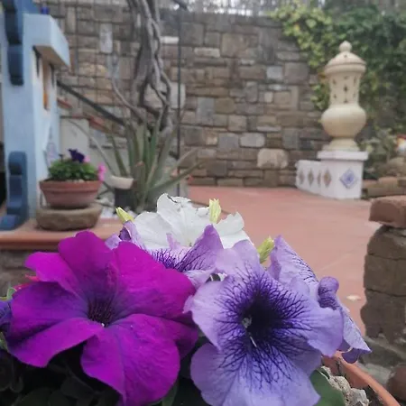 Plano De Laczarulo 3* أكيارولي