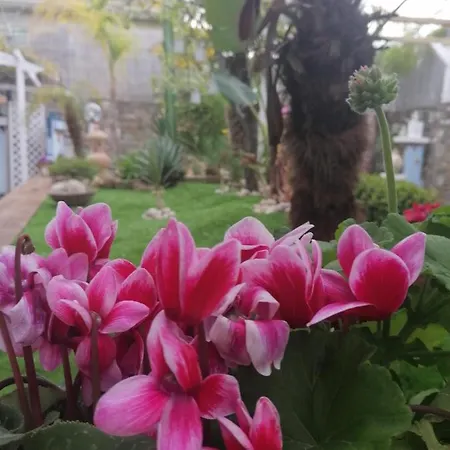 Plano De Laczarulo 3* Acciaroli