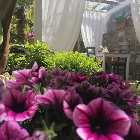 Plano De Laczarulo فندق مبيت وإفطار 3*