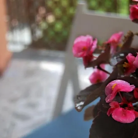 Bed & Breakfast Plano De Laczarulo Acciaroli