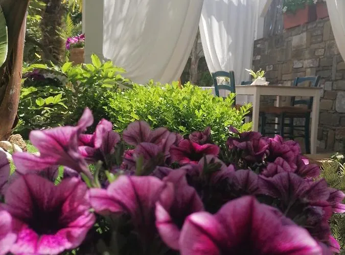 Plano De Laczarulo Frühstückspension 3*